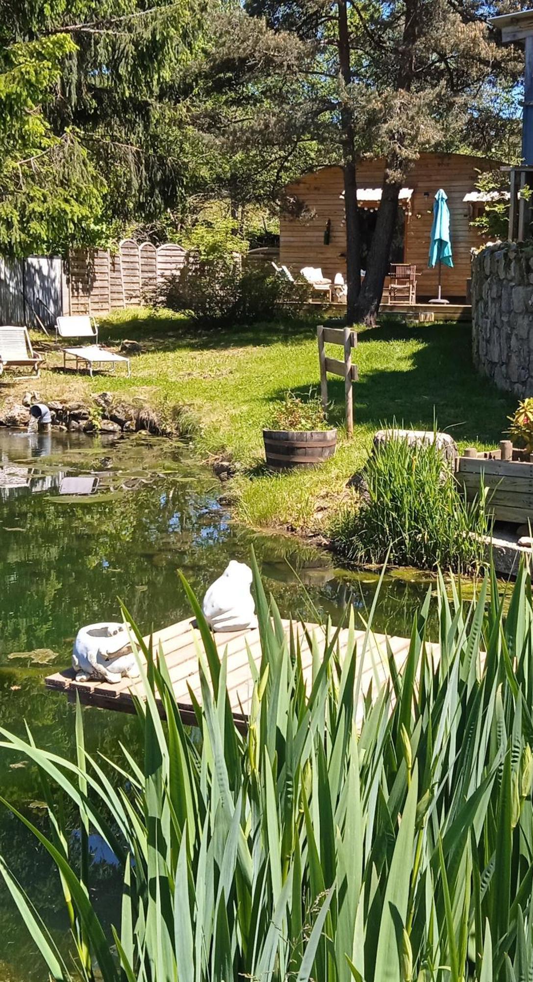 Chalet Grenouille Domaine De La Mamounette Champclause 外观 照片