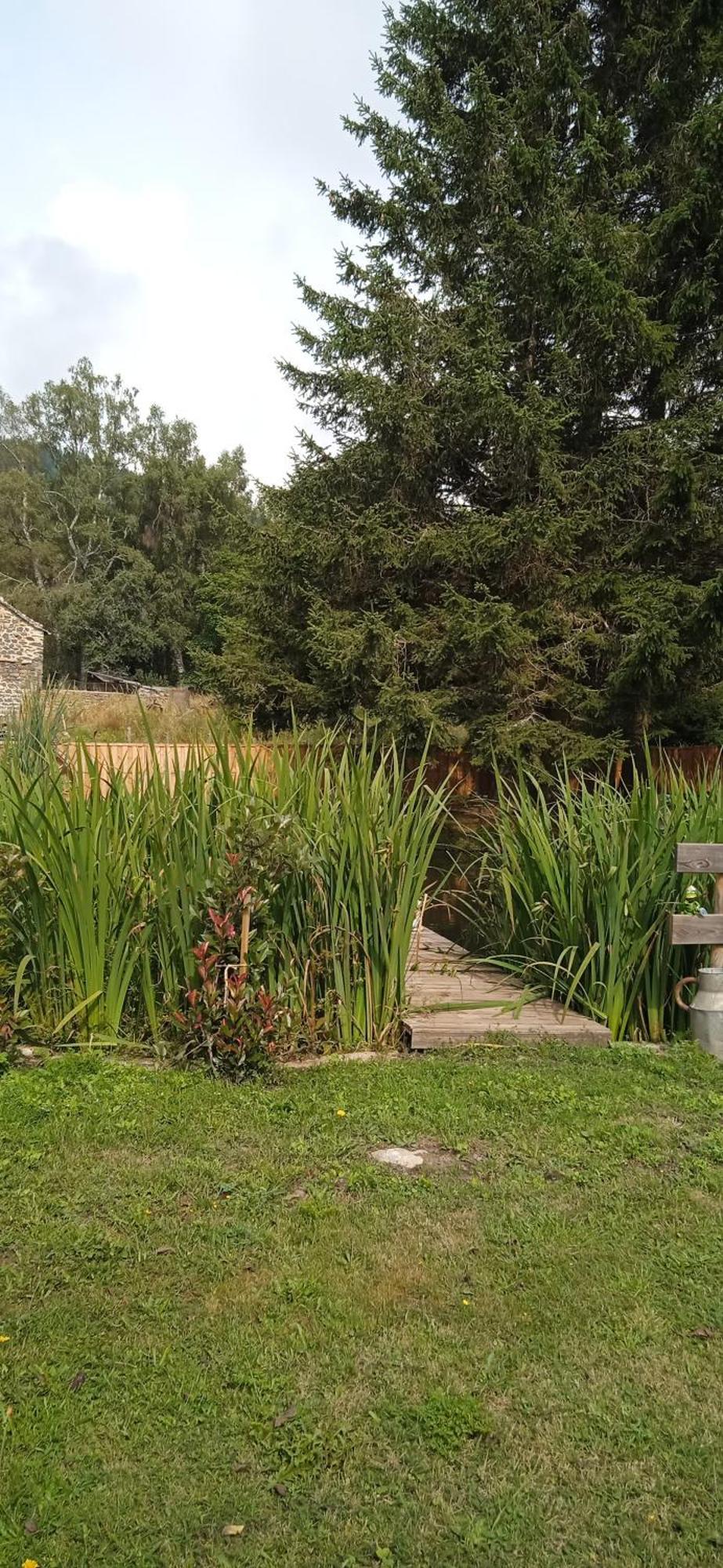 Chalet Grenouille Domaine De La Mamounette Champclause 外观 照片