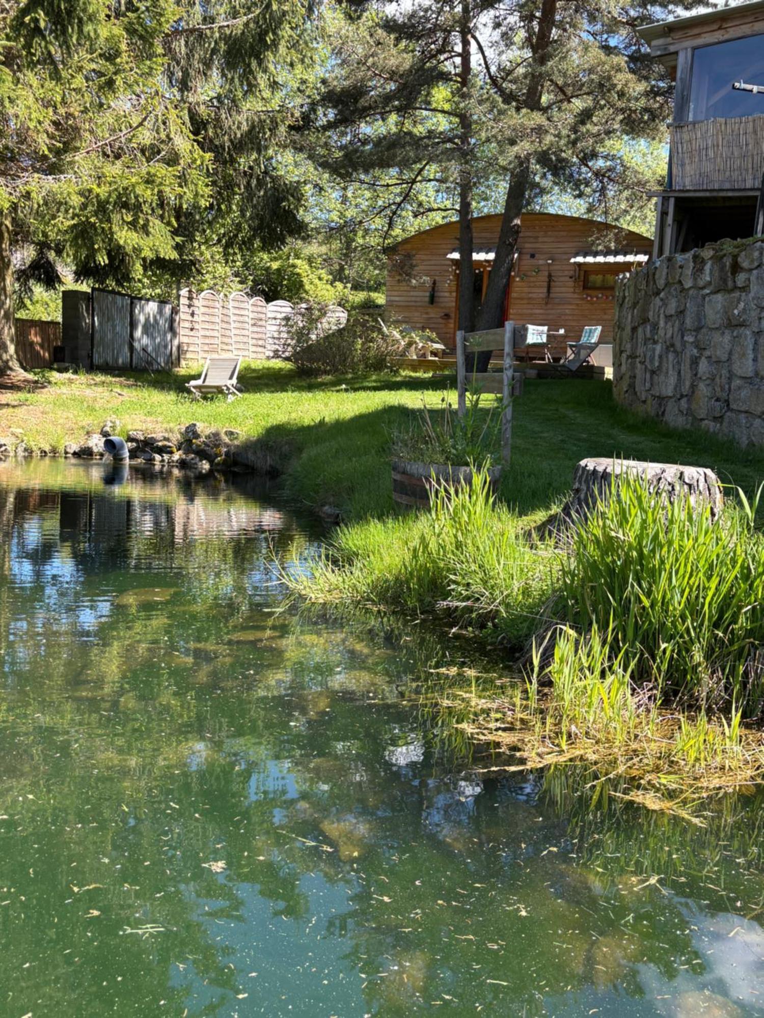 Chalet Grenouille Domaine De La Mamounette Champclause 外观 照片